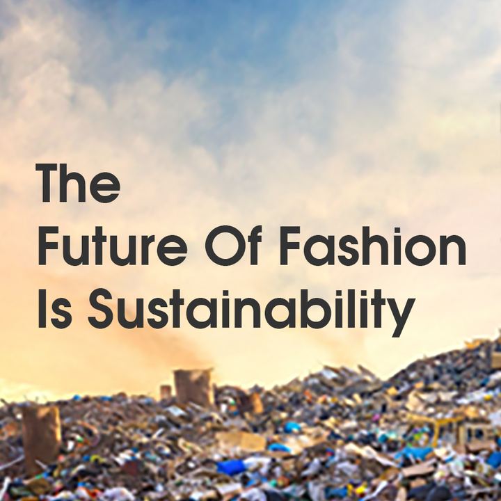 Fashion and Sustainability 