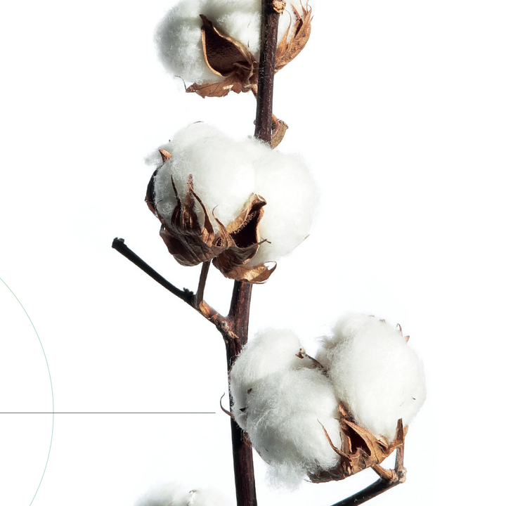 What's this talk about organic cotton?