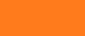 C013 Bright Orange