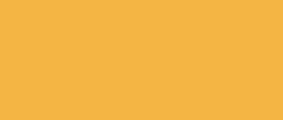 C204 Spectra Yellow